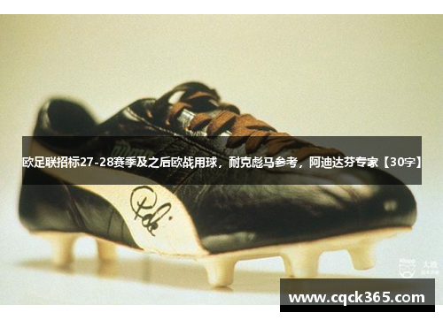 欧足联招标27-28赛季及之后欧战用球，耐克彪马参考，阿迪达芬专家【30字】